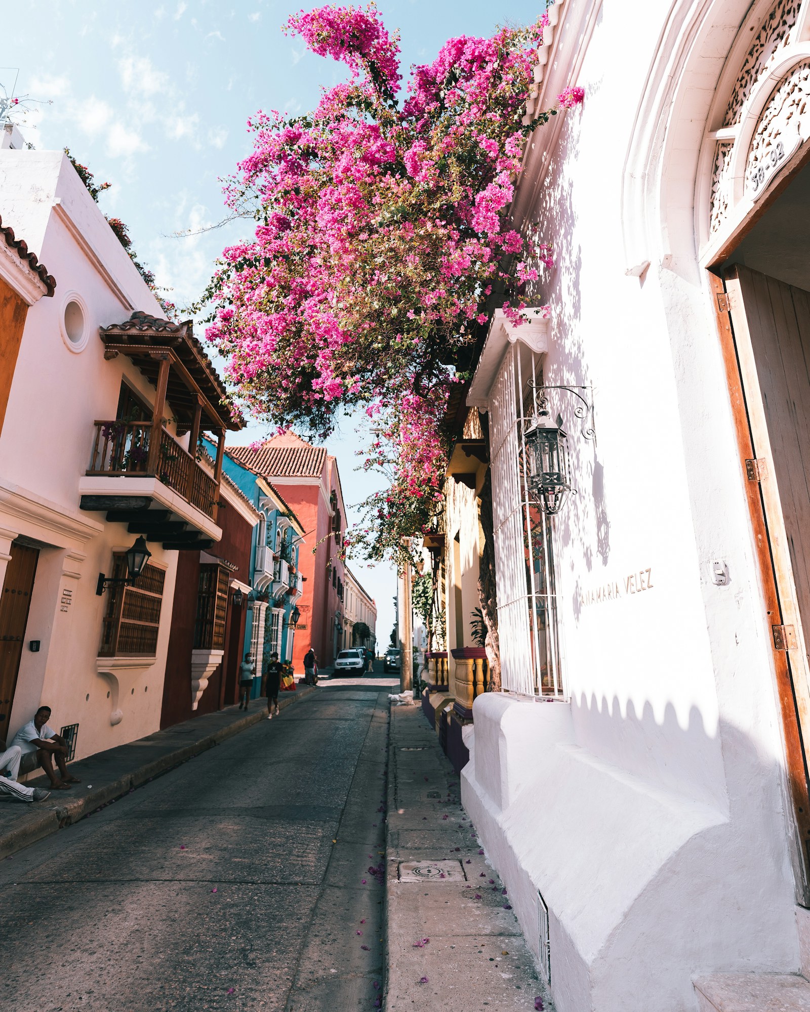 Calle colonial de Cartagena con flores rosadas